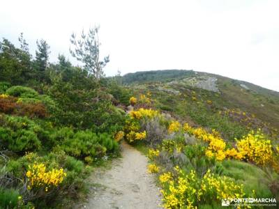 Pico del Lobo - Sierra de Ayllón; mochila tejo parque nacional de cabañeros parque natural urbasa cl